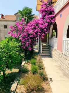 Peaceful, Cosy Tivat Guesthouse - Tivat - 1