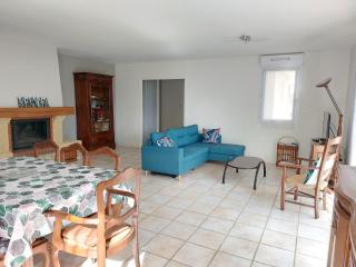 villa bruyeres - Thiers - 1
