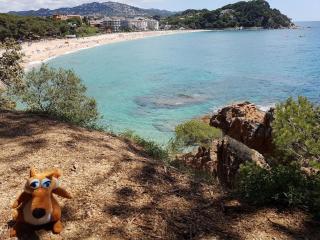 RESIDENTIAL FLAT Lloret de Mar (Nex - Lloret de Mar - 2