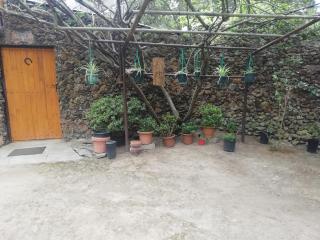Casa ecologica, autosuficiente en Lomo Blanco, dentro de una casa rodeada de naturaleza - San Juan de la Rambla - 5