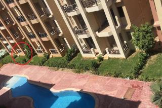 Summer vacation flat - Dawwār Ruḩayyim - 0