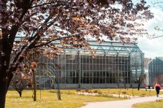 Le Seigneur des anneaux - 7