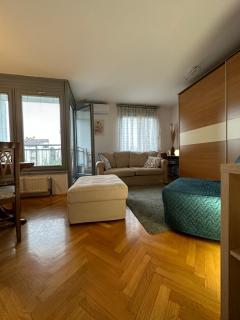 Lanište - Prelijep stan, balkon, wifi + besplatan parking - Zagreb - 7
