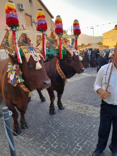 Sardinia Experience - Villamassargia - 5