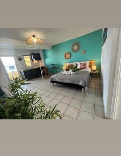 Appartement les pieds dans l'eau - Sainte-Anne - 9