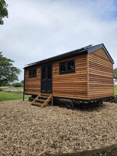 Woodland Shepherds Hut - 'Saga' - Caernarfon - 0