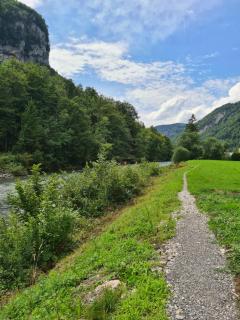 Muota River Loft & Muota Industry Apartment near Stoos - Muotathal - 5