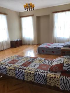 Guesthouse "KISTAURI" - Telavi - 7