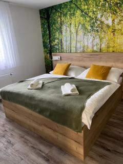 Apartmán - Dolní Morava - "Sedmička" pro 2 až 6 osob - Dolní Morava - 9