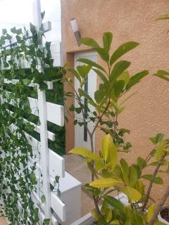 Shorty House - 2