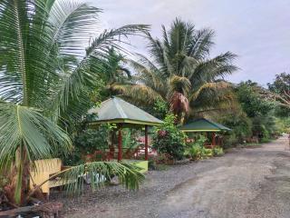 Jungle View Homestay & Guesthouse Only Stay Here Book Treking With Us - 3