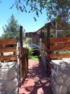 Los olivos - Capilla del Monte - 0