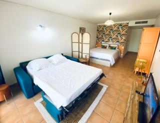 Gwadablue - Grand Studio Village Vacances - Sainte-Anne - 2