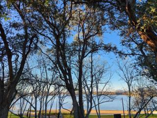 GREEN ROSE Quiet Spacious Lakeside Carpark Exceptional 70m2 - Canberra - 7