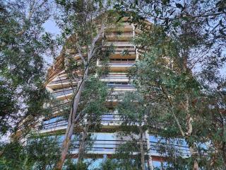 GREEN ROSE Quiet Spacious Lakeside Carpark Exceptional 70m2 - Canberra - 5