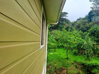 CASA ISAMAR - Monteverde - 7