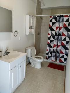 Gorgeous ,stylish and Beautiful Luxury Apartment with stuning Downtown View.Featuring American and French style - 5