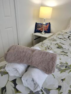 Gorgeous ,stylish and Beautiful Luxury Apartment with stuning Downtown View.Featuring American and French style - 3