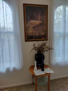 Gorgeous ,stylish and Beautiful Luxury Apartment with stuning Downtown View.Featuring American and French style - 2