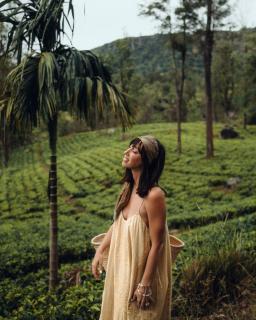Madulkelle Tea and Eco Lodge - Kandy - 1