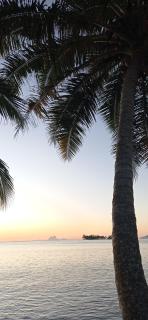 RAIATEA - The BEACH HOUSE - plage sur le lagon ! - Tevaitoa - 2