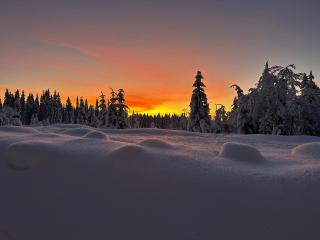 Søre Osen Ørbekken - Midskogberget - 2