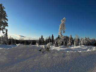 Søre Osen Ørbekken - Midskogberget - 3