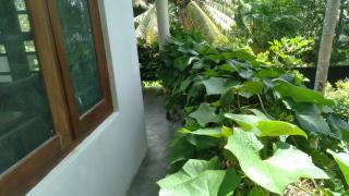 Osu Lena Habaraduwa - 5