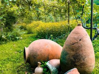 Guest House Oasis - Tvishi - 4