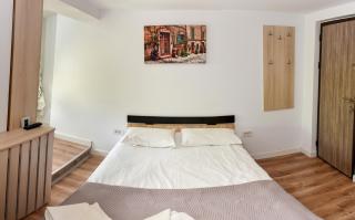 Aparthotel Metropol - Iaşi - 8