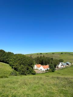 Borthwick Farm Cottage Pottery - Borthwick - 6