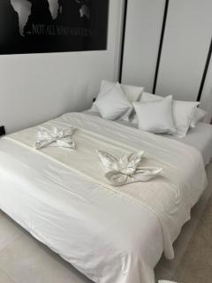 Apartman JJ Vladimira Rolovic 09 17 - Kragujevac - 2
