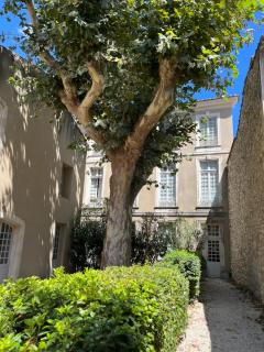 Superbe appartement rénové et cosy à 10mn de Saint-Rémy de Provence - Noves - 3