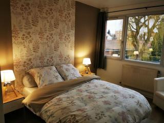 Joli Appartement Marcq en Baroeul proche Lille - 4