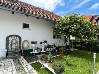 Smeštaj Pejčić - Niška Banja - 9