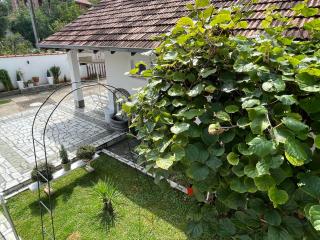 Smeštaj Pejčić - Niška Banja - 8