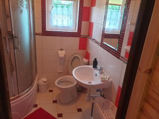 Domek w Bieszczadach u Ani Apartament 3 - Uherce Mineralne - 6