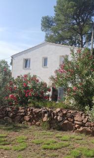 Bastidon du camp de jeanne - Cuers - 4