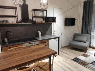 Loft возле парка, стадиона и озера - 7