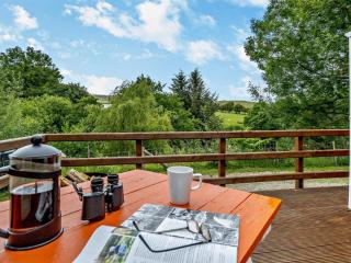 Wild Valley Bunkhouse - Llanrhaeadr-ym-Mochnant - 2