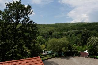 Hotel McPietroasa - Haleş - 8