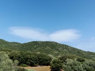 T3 en rez de villa sur les hauteurs d'Ajaccio - Ajaccio - 9
