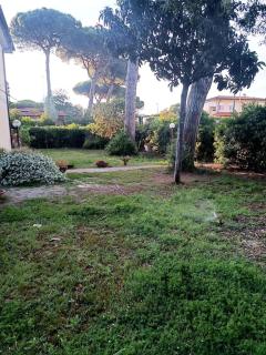 CASALEDO TIRRENIA - 1