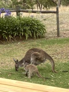 Kidman's Rest - The Range - 6