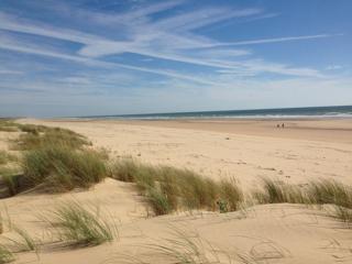 Chambre d’hôtes Saint Just Luzac - 1