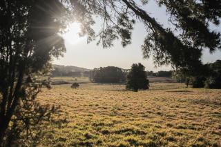 Alba House - 4