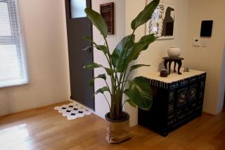 Korean Traditional terrace House - Seul - 1