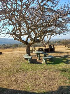 TheManqeleEstate - Cleland - 5