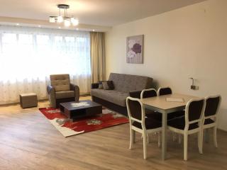 Spacious Apartment in Kintai - 0
