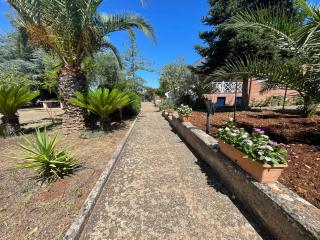 Uacella - Locorotondo - 5
